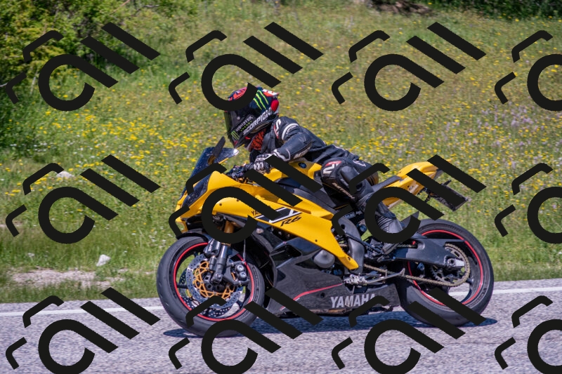 202506021302-DSC_9482_c4_