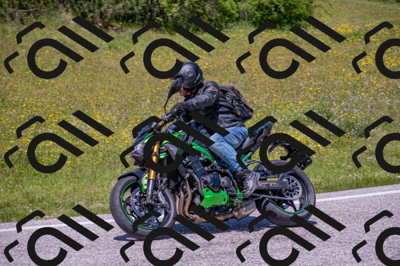 202506021303-DSC_9487_c4_