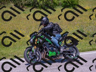 202506021303-DSC_9487_c4_