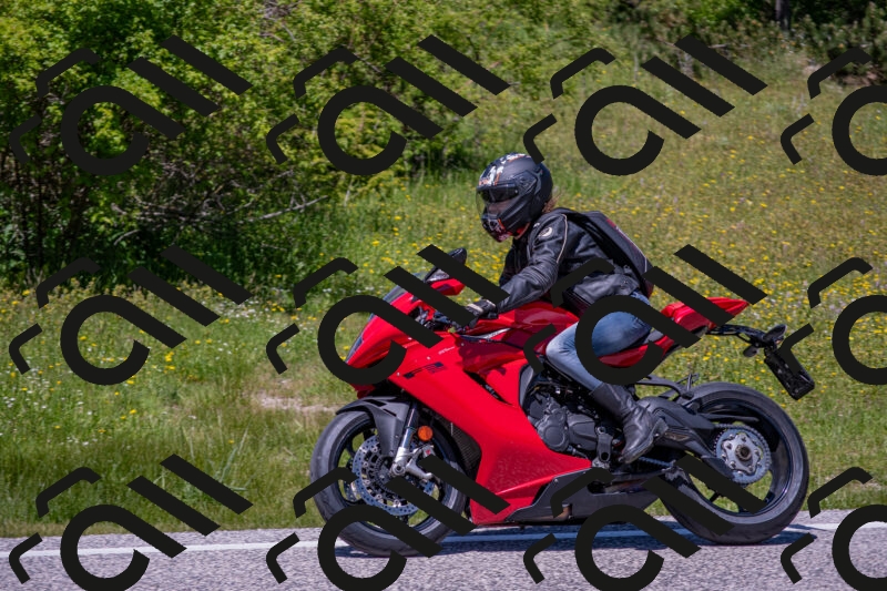 202506021304-DSC_9491_c4_