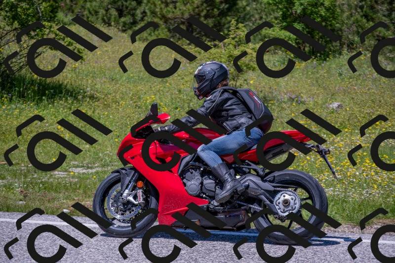 202506021304-DSC_9492_c4_