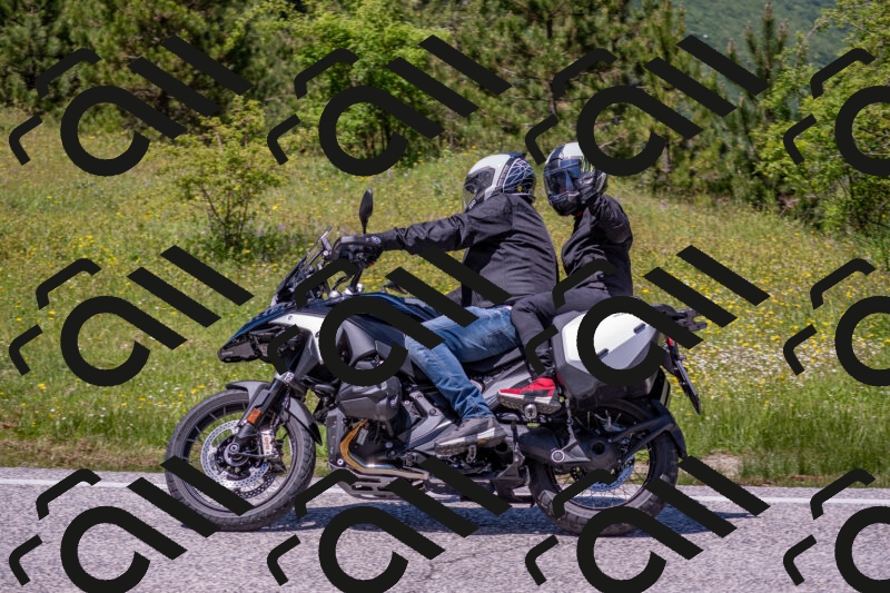 202506021304-DSC_9500_c4_