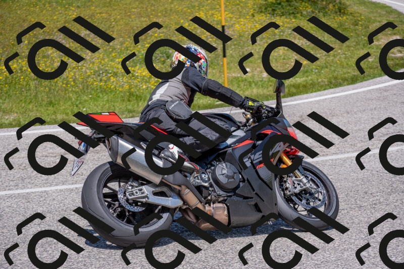 202506021305-DSC_9508_c4_