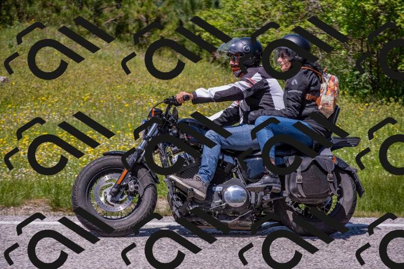 202506021305-DSC_9510_c4_