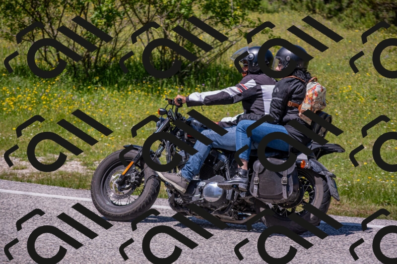 202506021305-DSC_9511_c4_