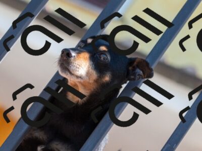 20250602103224-R01_9730_r1