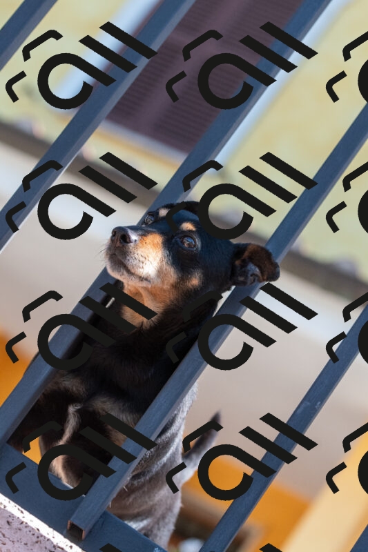 20250602103224-R01_9730_r1