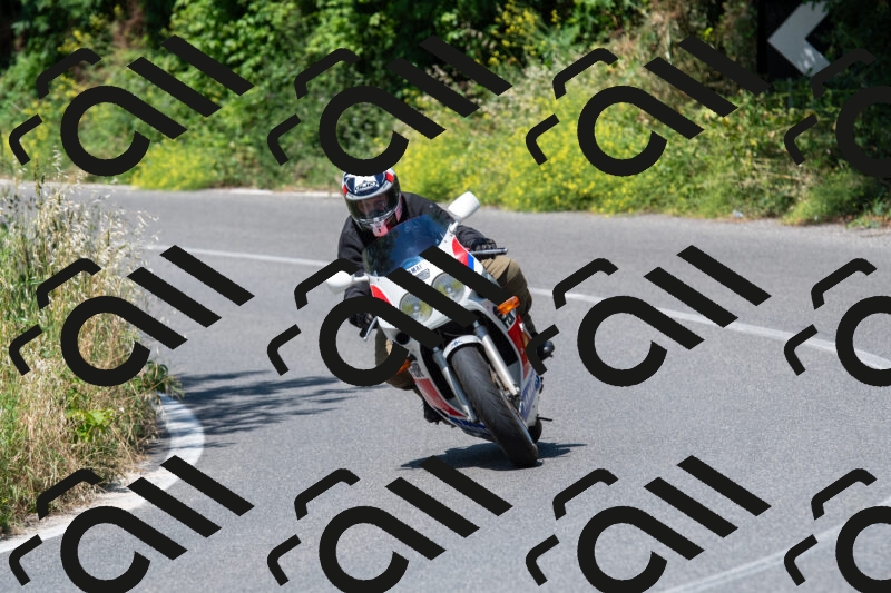 20250602111742-R01_0206_r1