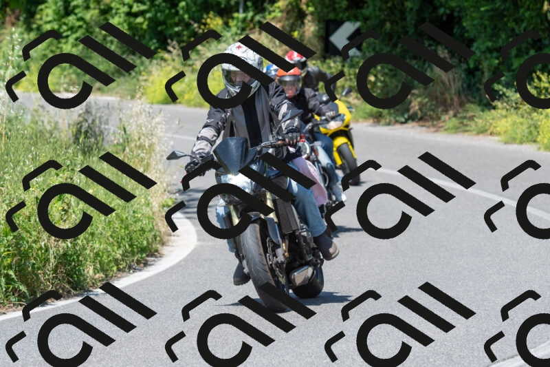 20250602114101-R01_0493_r1