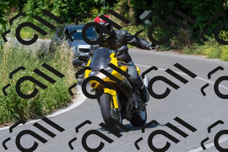 20250602114102-R01_0498_r1