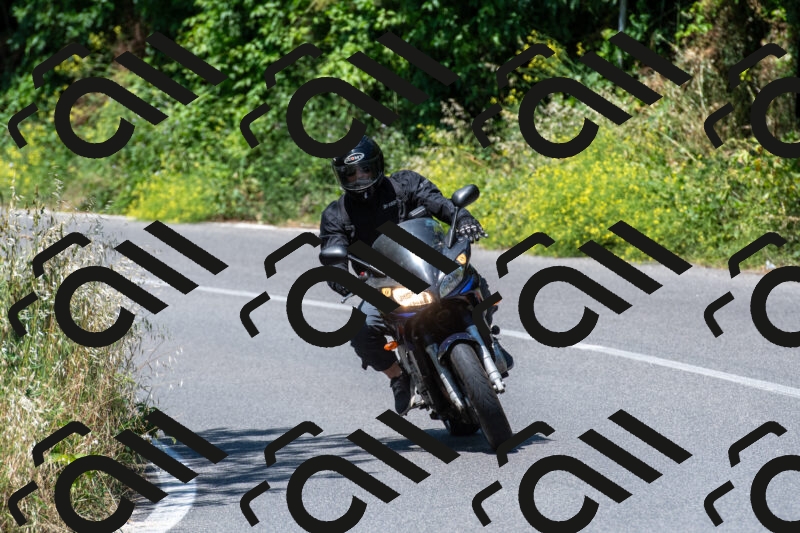 20250602115316-R01_0599_r1