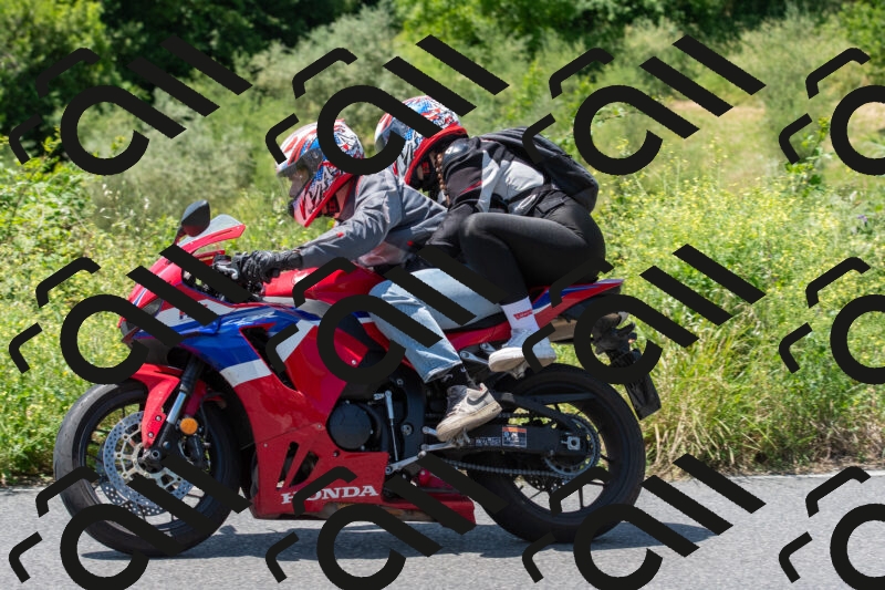 20250602122918-R01_0848_r1