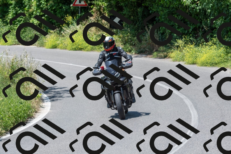 20250602123139-R01_0864_r1