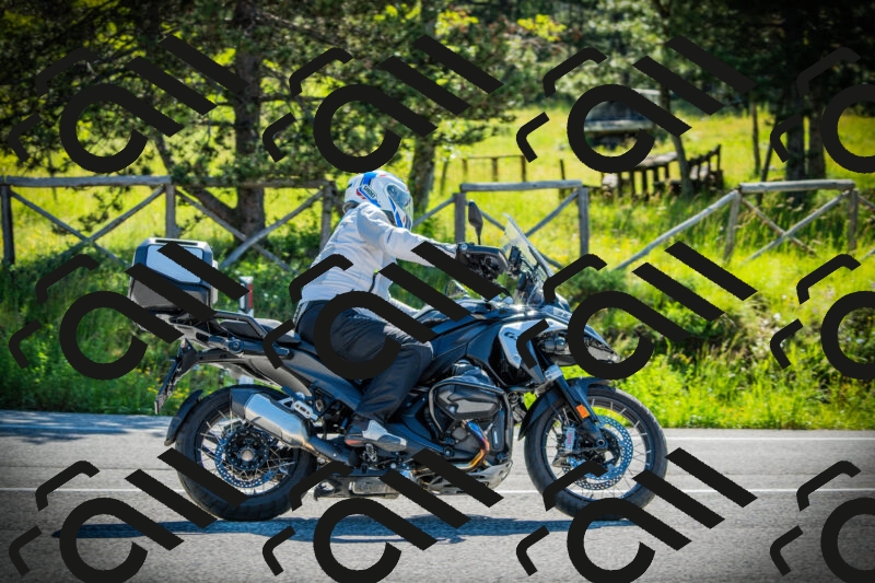 202506020944-DSC02423_c1_