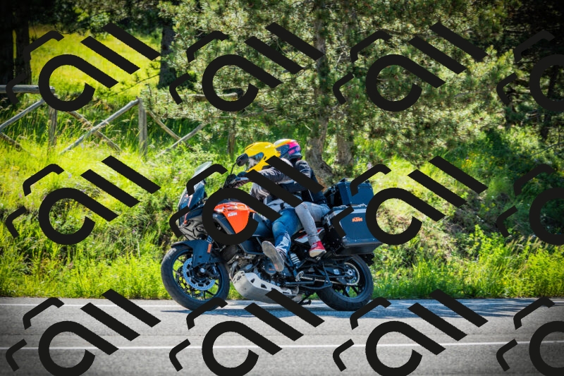 202506020947-DSC02429_c1_