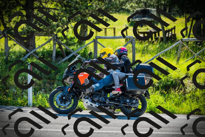 202506020947-DSC02430_c1_