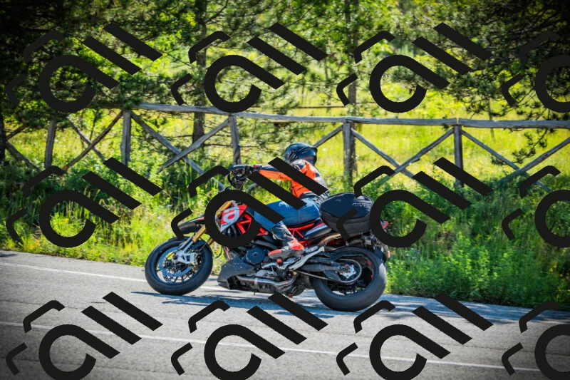 202506020952-DSC02440_c1_