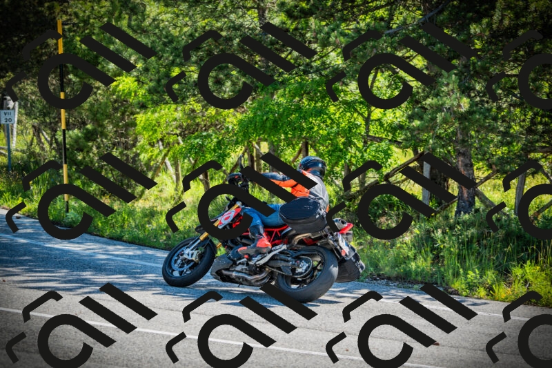 202506020952-DSC02441_c1_