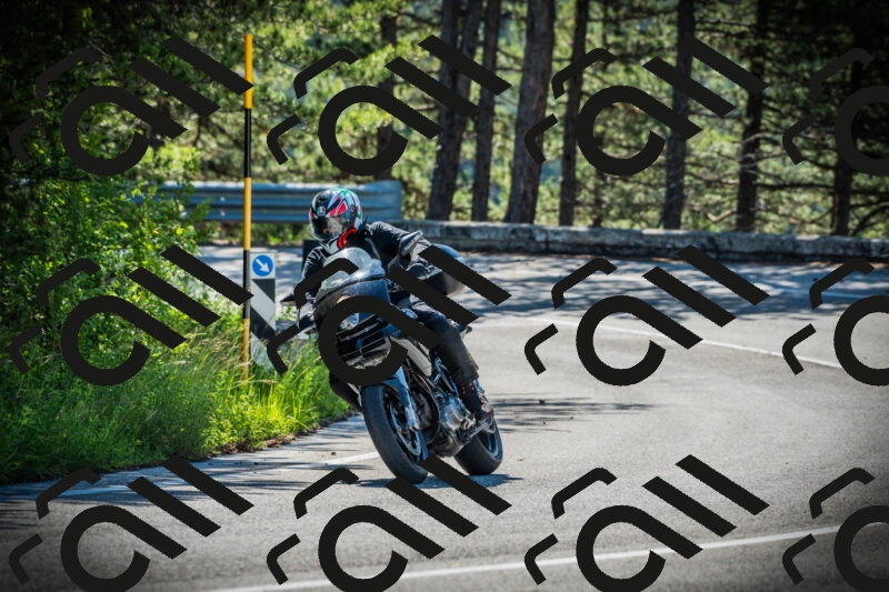 202506020952-DSC02444_c1_