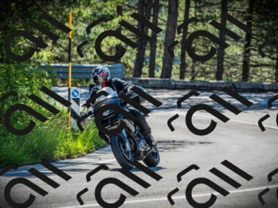 202506020952-DSC02444_c1_