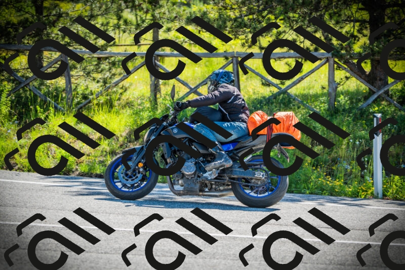 202506020952-DSC02455_c1_