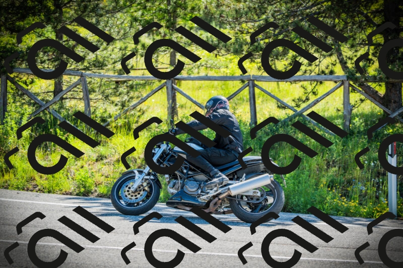 202506020952-DSC02457_c1_