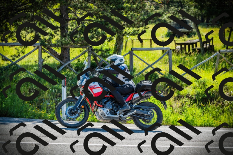 202506020952-DSC02460_c1_