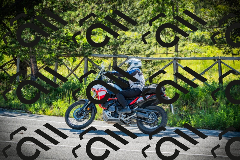 202506020952-DSC02461_c1_