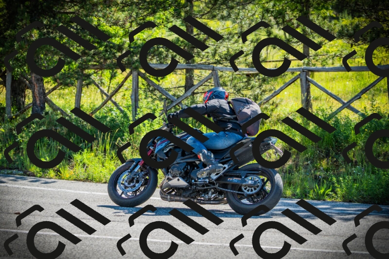 202506020952-DSC02464_c1_