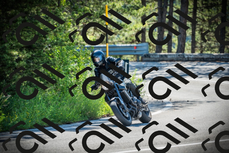 202506020953-DSC02469_c1_