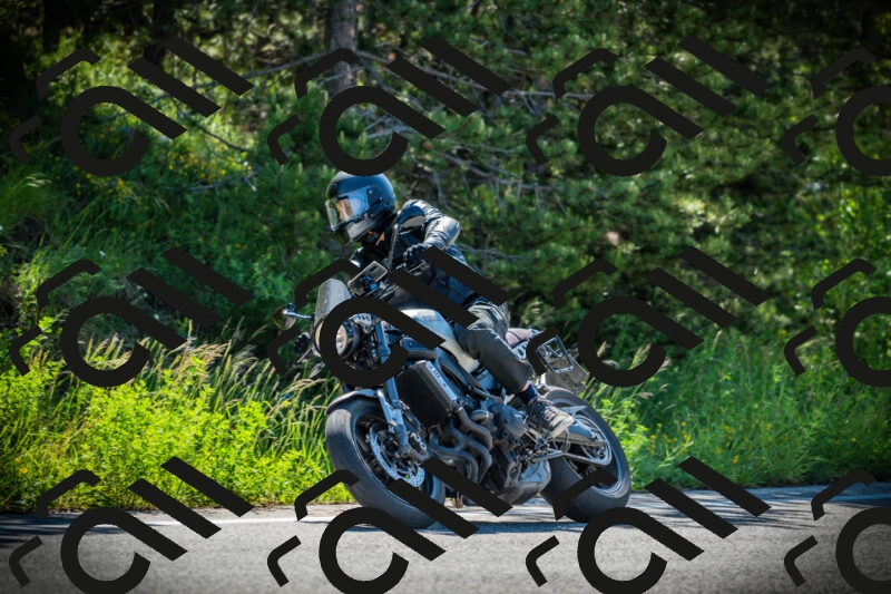 202506020953-DSC02470_c1_