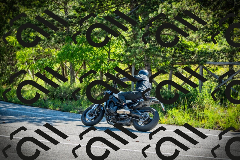 202506020953-DSC02472_c1_