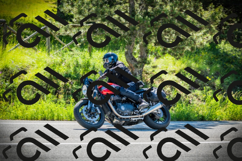 202506020953-DSC02474_c1_