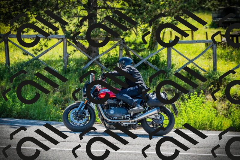 202506020953-DSC02475_c1_