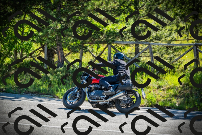 202506020953-DSC02476_c1_