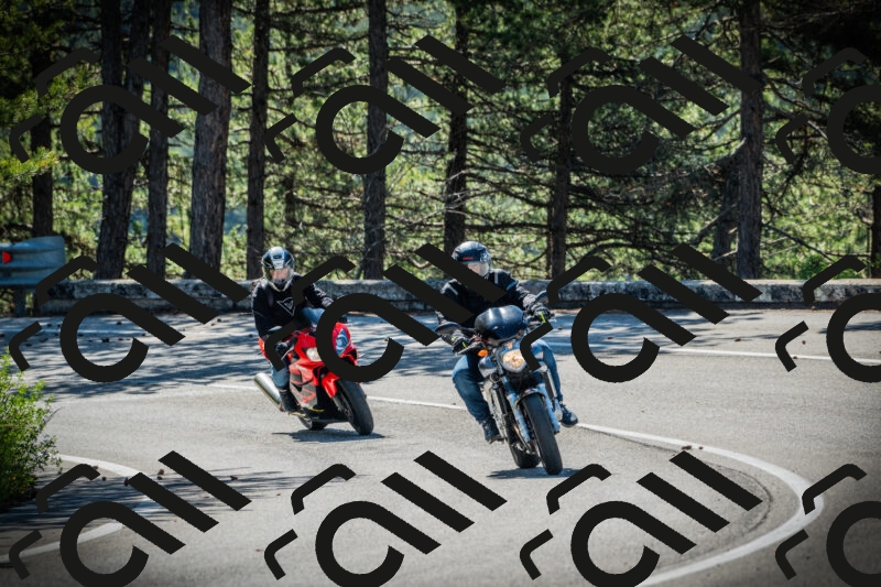 202506020954-DSC02479_c1_