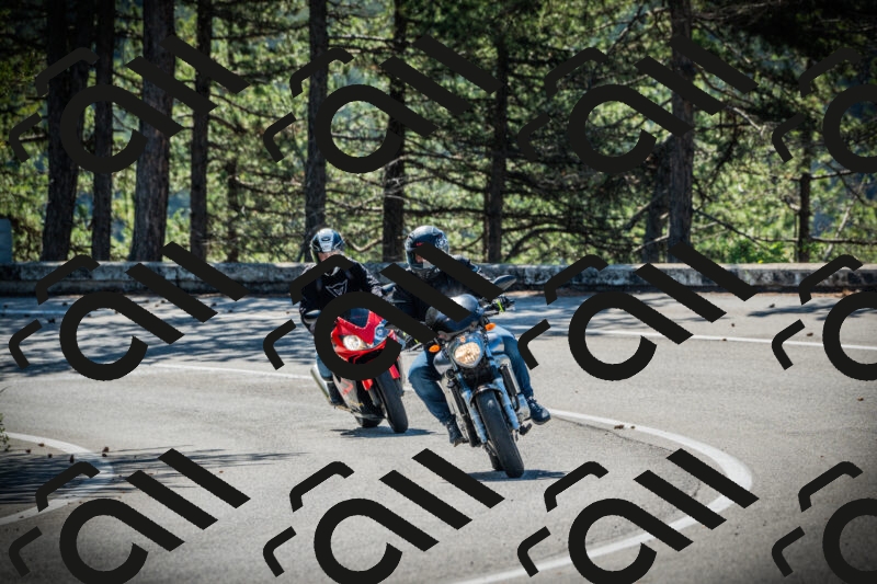 202506020954-DSC02480_c1_