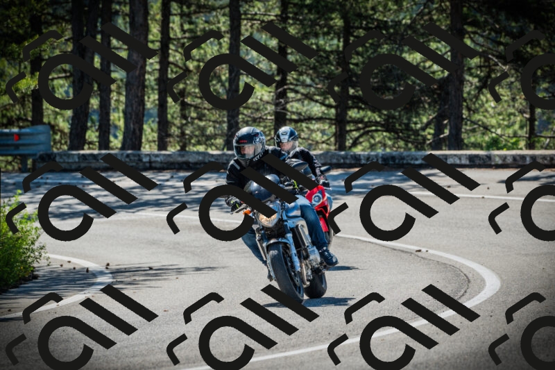 202506020954-DSC02481_c1_