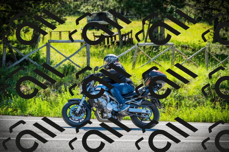 202506020954-DSC02484_c1_