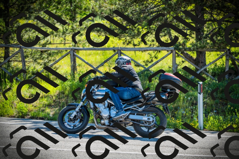 202506020954-DSC02485_c1_