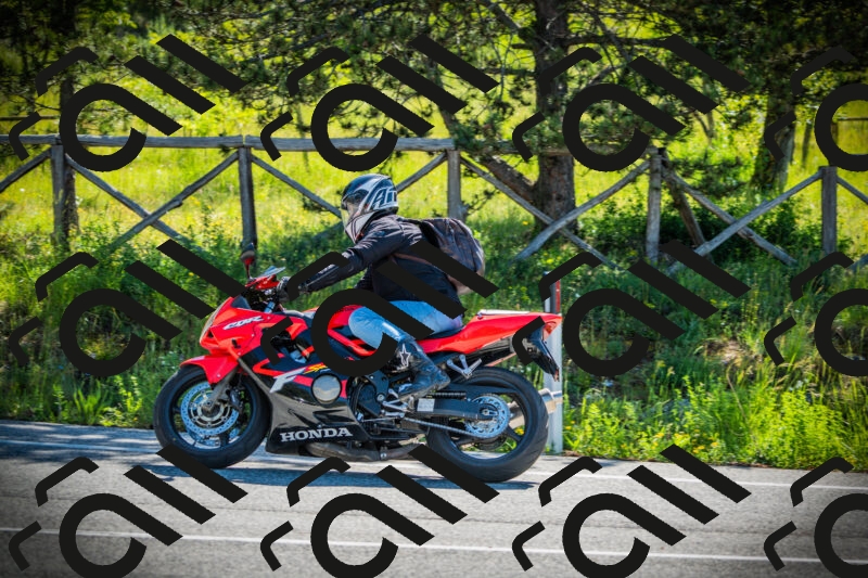 202506020954-DSC02486_c1_