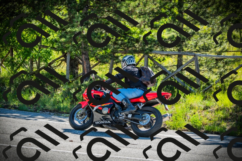 202506020954-DSC02487_c1_