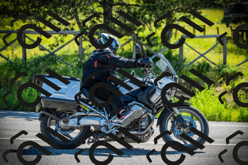 202506020955-DSC02494_c1_