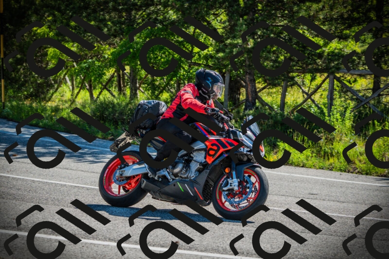 202506020955-DSC02495_c1_