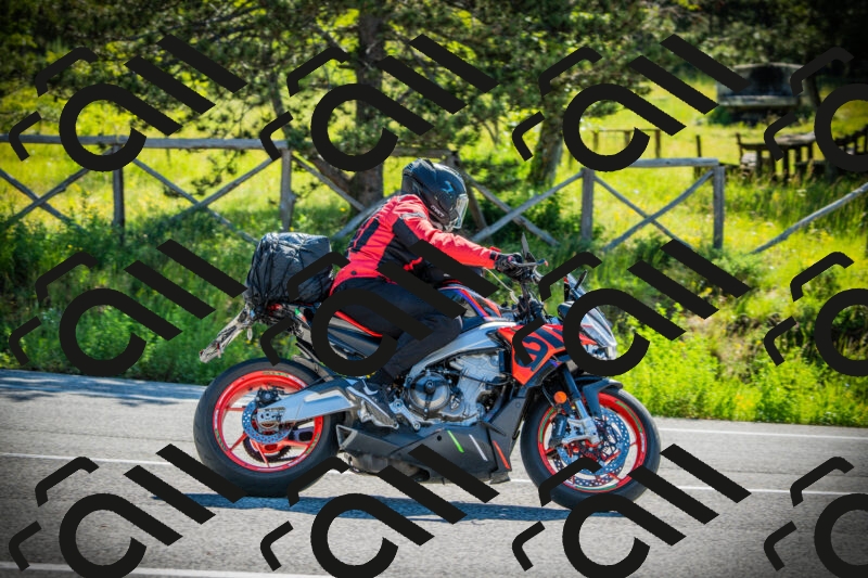 202506020955-DSC02496_c1_