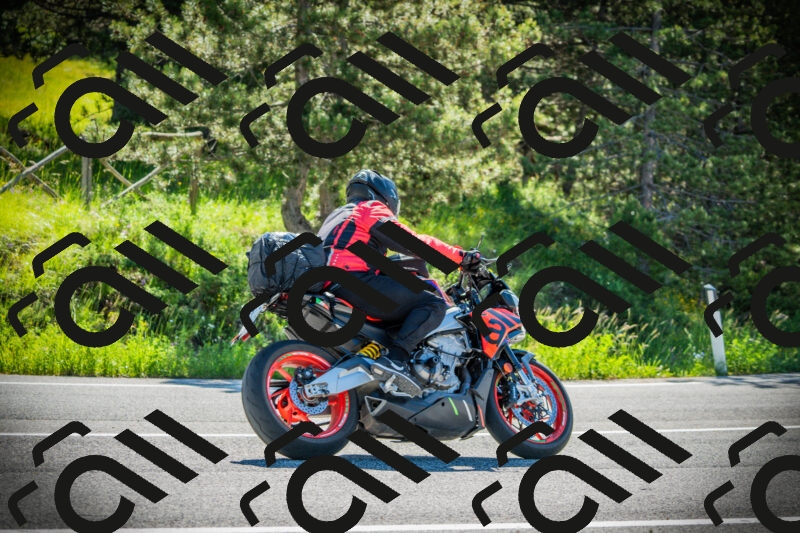 202506020955-DSC02497_c1_