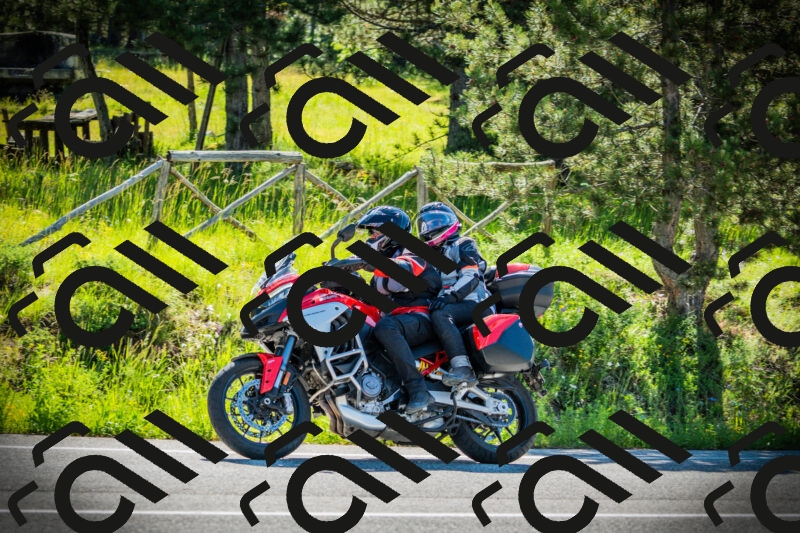 202506020957-DSC02505_c1_