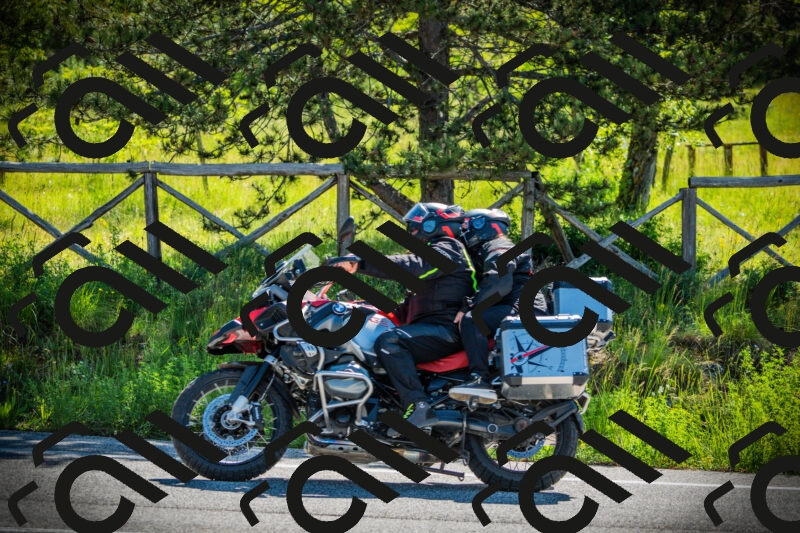 202506020957-DSC02511_c1_