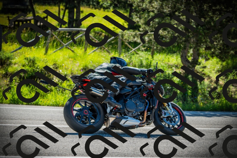 202506021000-DSC02529_c1_