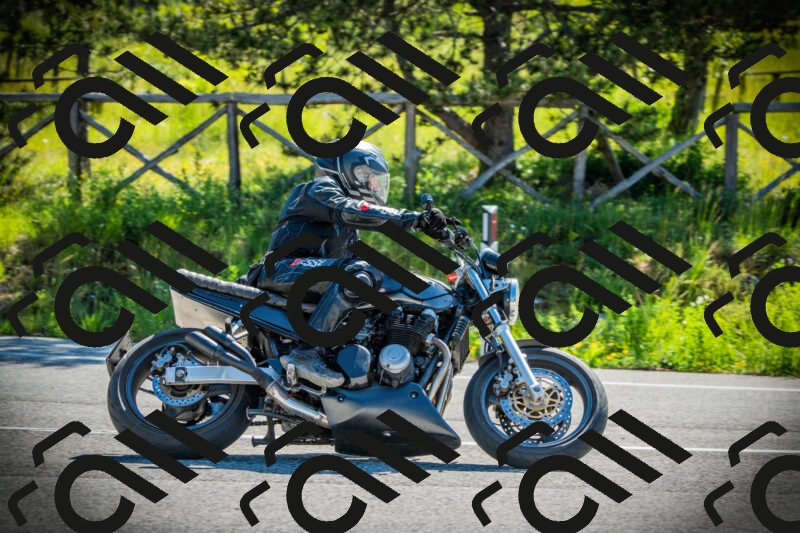 202506021000-DSC02533_c1_